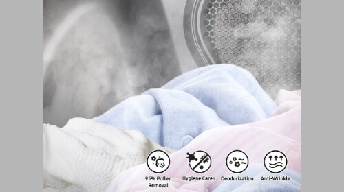 Steam Sanitize Plus